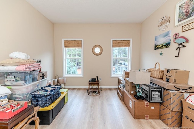 interior space featuring a healthy amount of sunlight and light hardwood / wood-style flooring