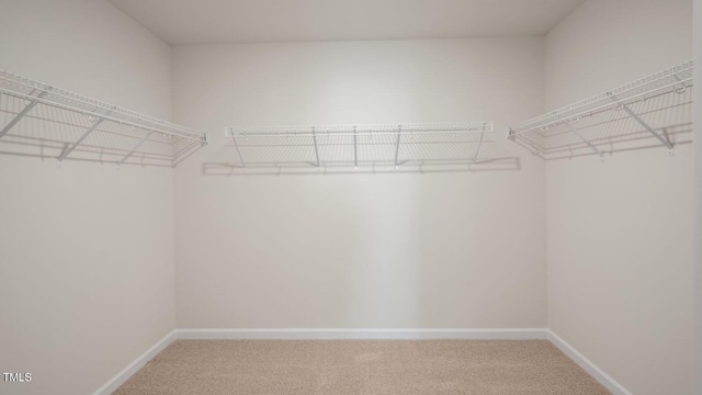 273 Hanging Elm Ln, Fuquay Varina, NC 27526 - spacious closet featuring carpet floors