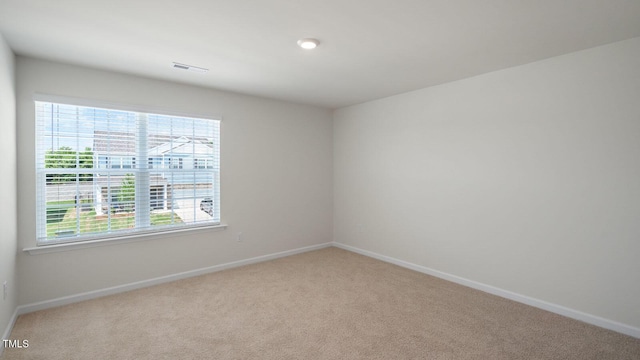 empty room with carpet flooring and a wealth of natural light