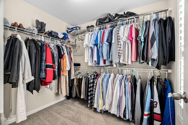 walk in closet with carpet floors