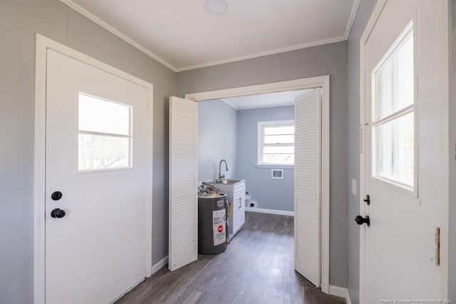 laundry room featuring sink, ornamental molding, and dark wood-type flooring