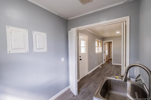 interior space featuring dark hardwood / wood-style flooring, electric panel, crown molding, and sink