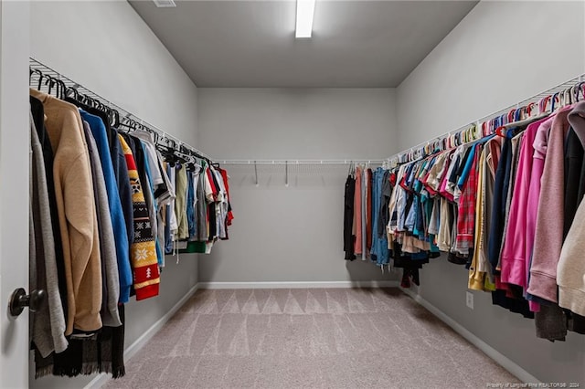 walk in closet with carpet floors