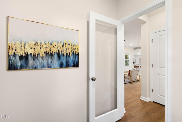 hallway featuring wood-type flooring