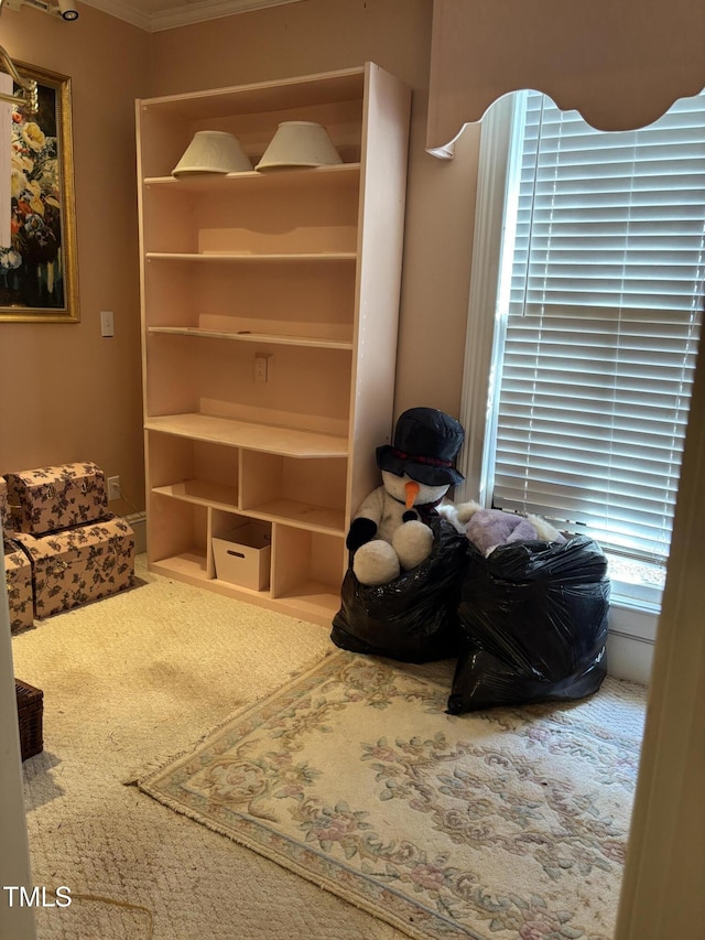 living area featuring carpet flooring