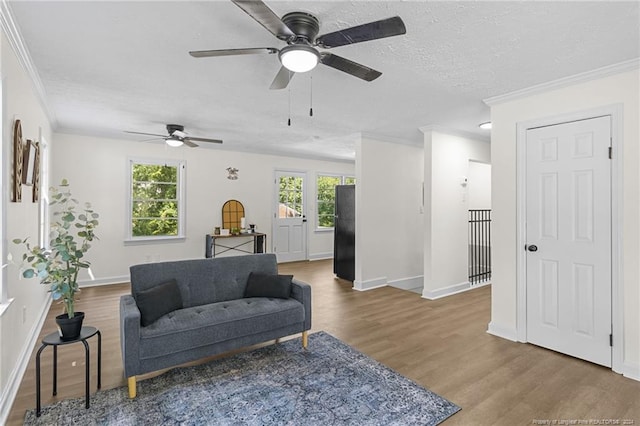 living room featuring hardwood / wood-style floors, a textured ceiling, ceiling fan, and ornamental molding