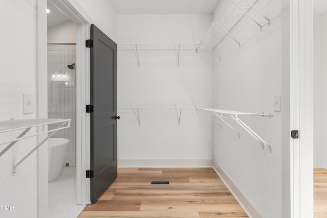 spacious closet featuring hardwood / wood-style flooring