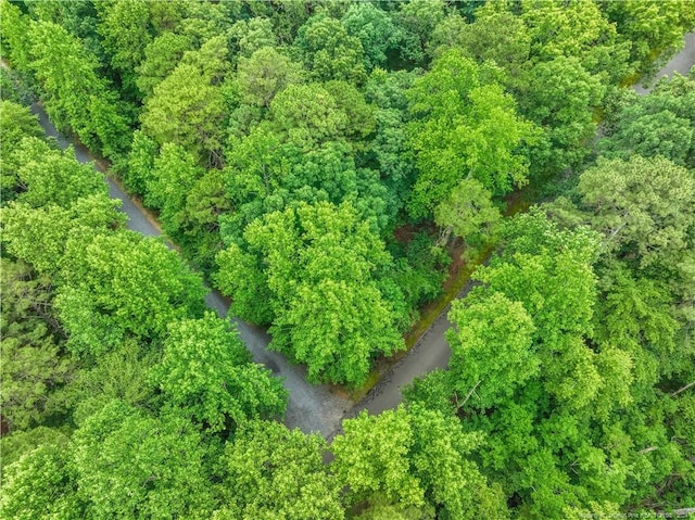 110 Cambridge Ln, West End, NC 27376