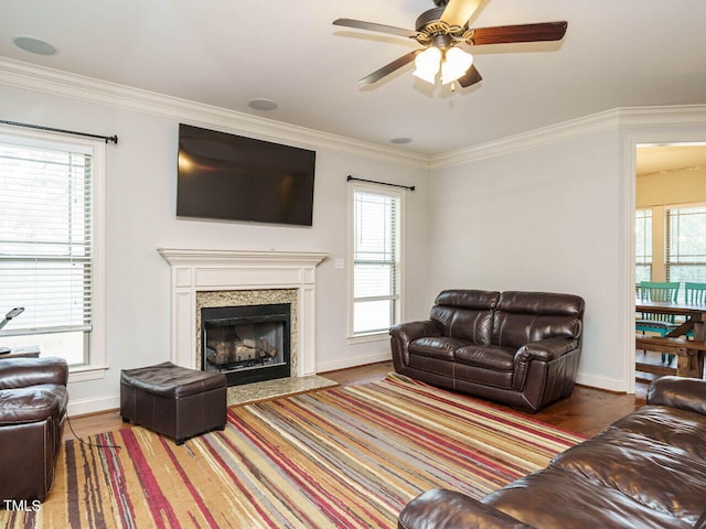 living room featuring a healthy amount of sunlight, wood-type flooring, and a premium fireplace