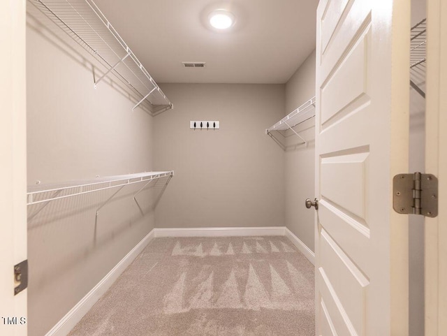 spacious closet with light colored carpet