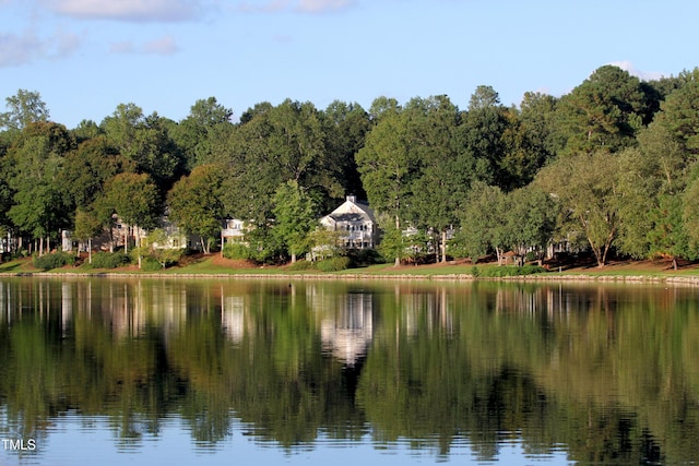 water view featuring a view of trees