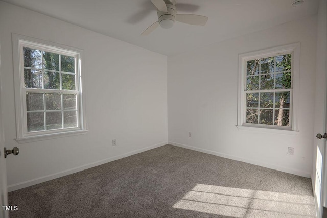 empty room featuring carpet flooring and ceiling fan