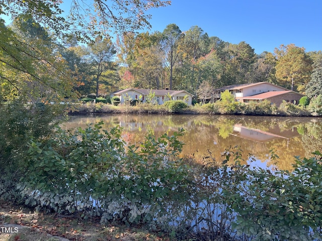 view of yard featuring a water view