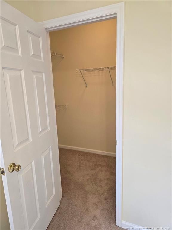 spacious closet with light carpet