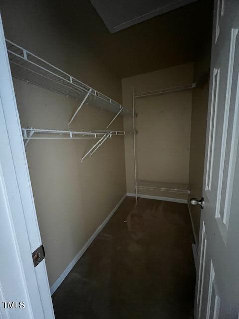 view of walk in closet