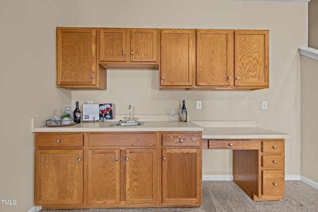 kitchen with carpet floors and sink