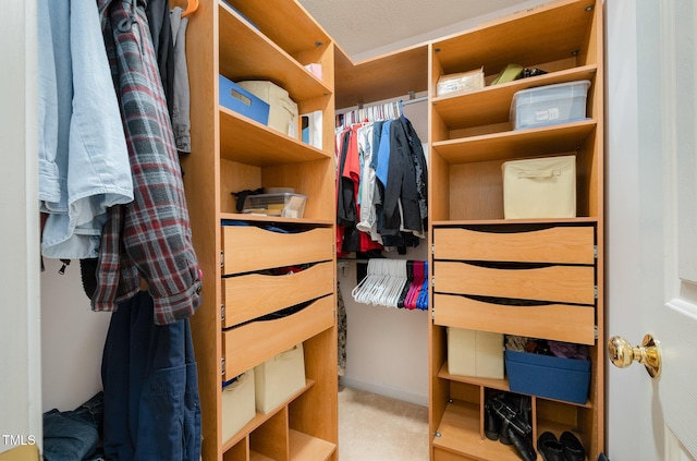 walk in closet featuring carpet flooring