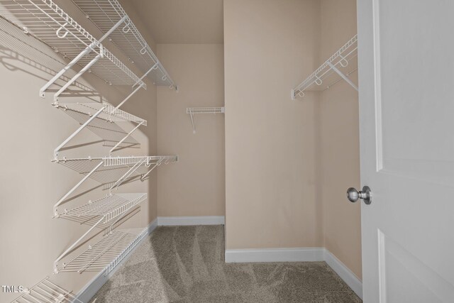 spacious closet with carpet floors