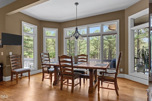 dining area with light hardwood / wood-style floors