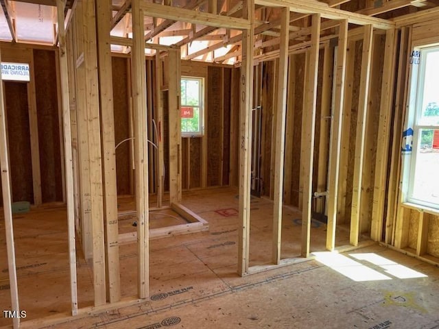 2850 Sheep Pasture Rd, Spring Hope, NC 27882 - misc room with healthy amount of natural light