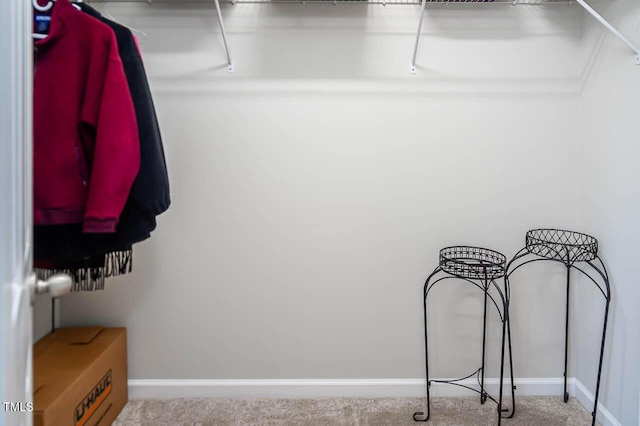 spacious closet featuring carpet floors