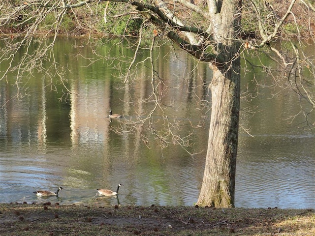 view of water feature