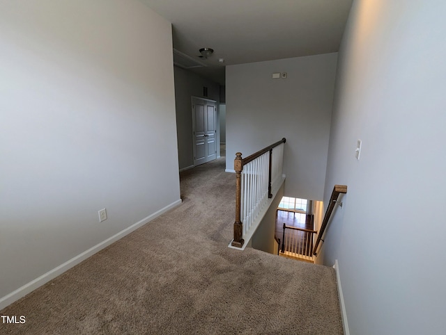 staircase featuring carpet