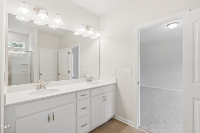 bathroom with a shower with door and vanity