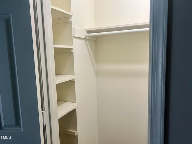 view of walk in closet