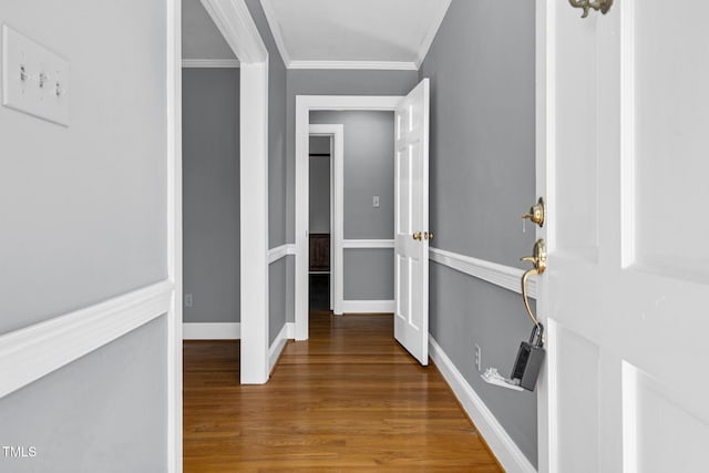 corridor with wood-type flooring and ornamental molding