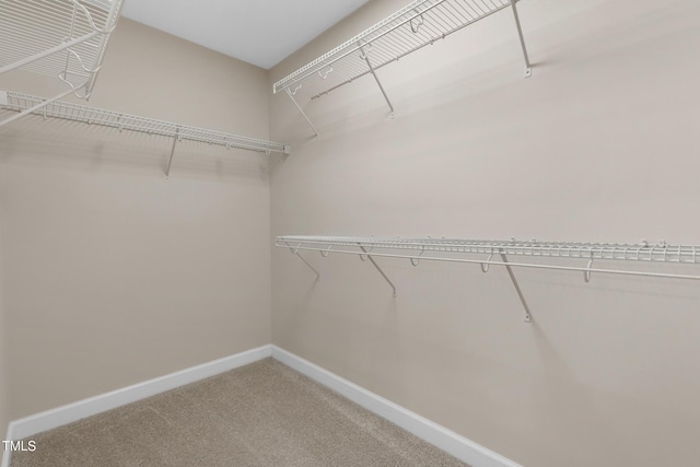 walk in closet with carpet