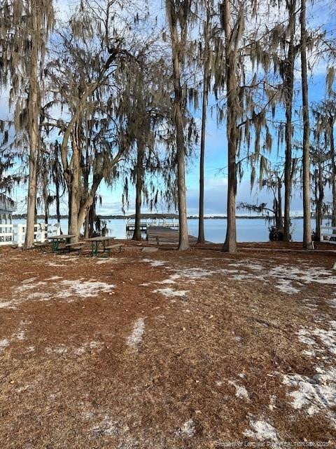 view of local wilderness featuring a water view