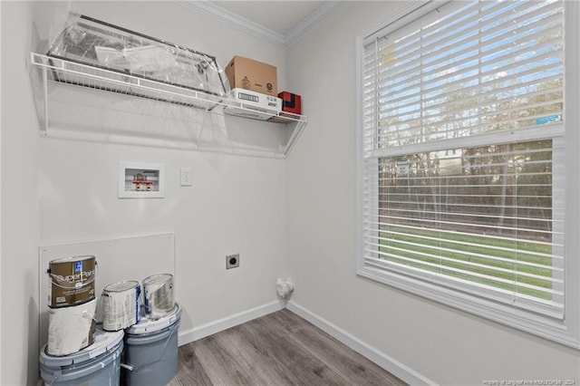 laundry room featuring a healthy amount of sunlight, crown molding, electric dryer hookup, and wood-type flooring