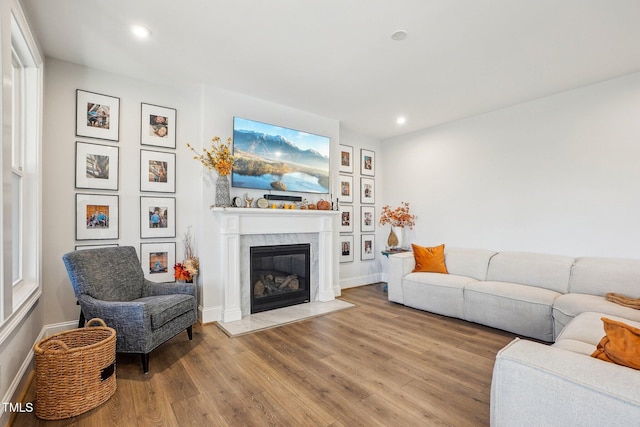 living room with light hardwood / wood-style floors and a fireplace