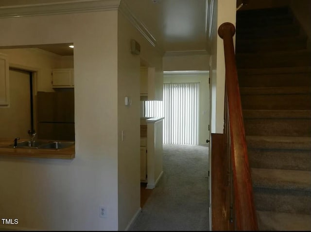 staircase with crown molding, sink, and carpet floors