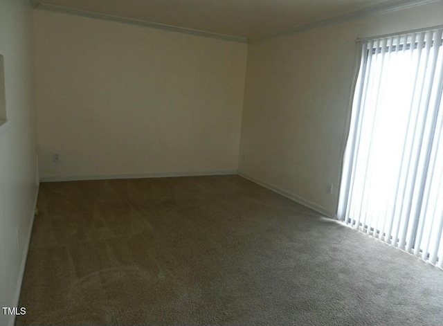 spare room featuring carpet floors