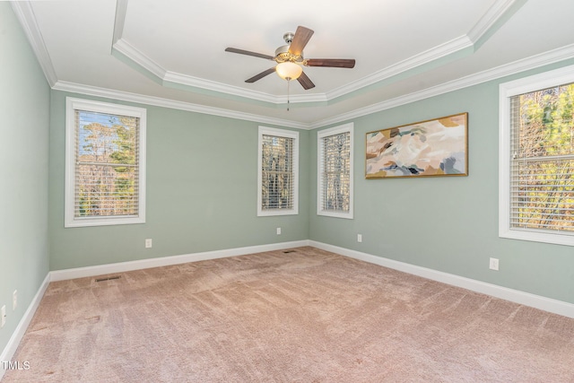 empty room featuring a tray ceiling, a wealth of natural light, and crown molding