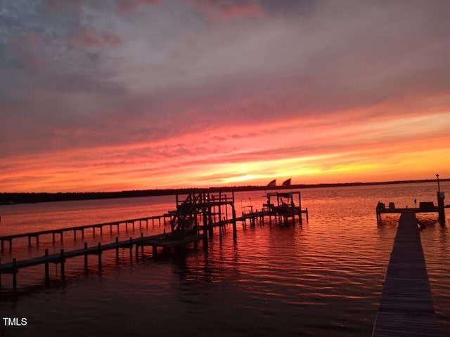 dock area with a water view