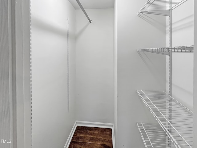 spacious closet with wood-type flooring