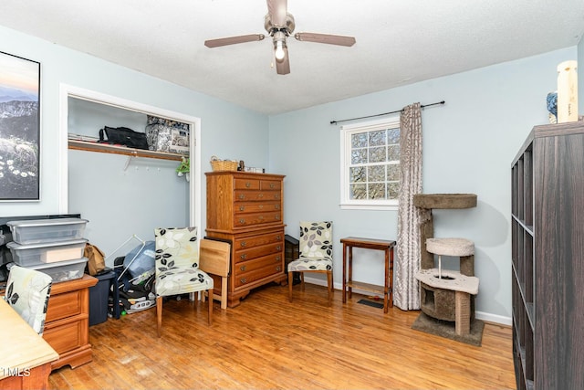 home office with ceiling fan, light hardwood / wood-style floors, and a textured ceiling