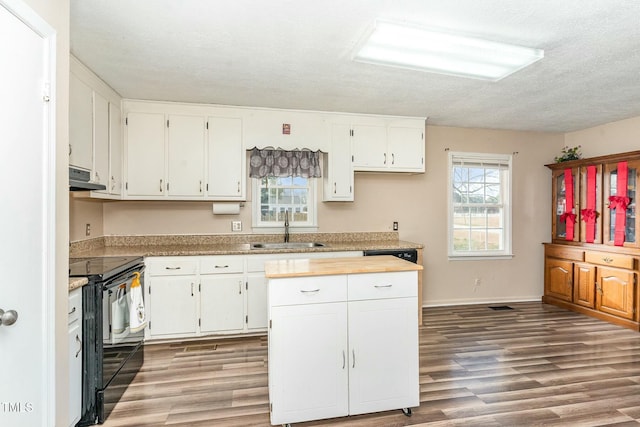 kitchen with white cabinetry, sink, wood-type flooring, and black electric range