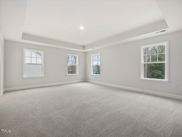 carpeted spare room with a tray ceiling and a healthy amount of sunlight