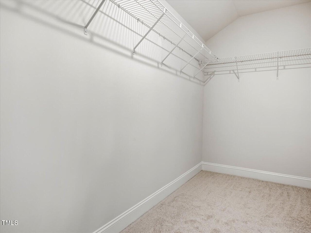 walk in closet featuring vaulted ceiling and carpet flooring