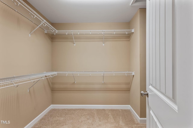 walk in closet featuring carpet floors