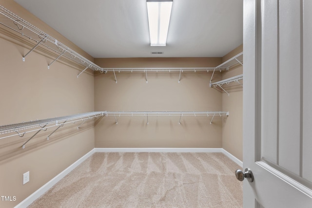 walk in closet featuring carpet floors