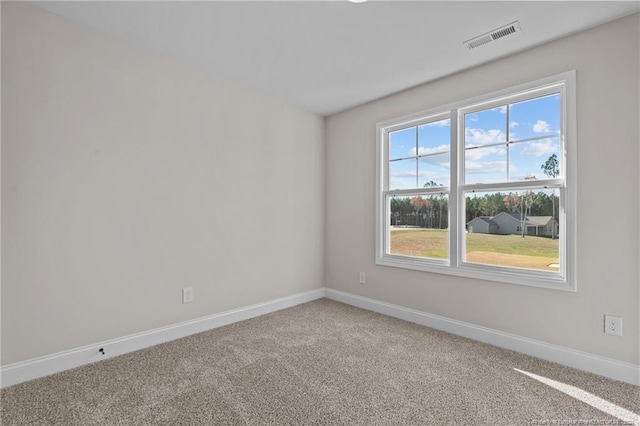 carpeted spare room with plenty of natural light