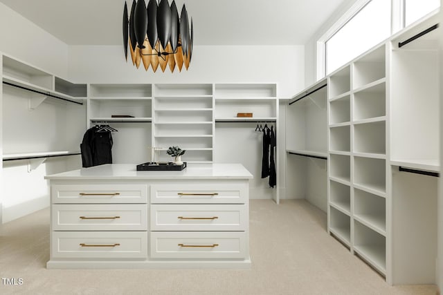 spacious closet featuring light carpet