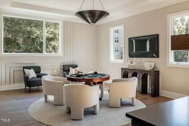 living area featuring a raised ceiling, plenty of natural light, and wood-type flooring