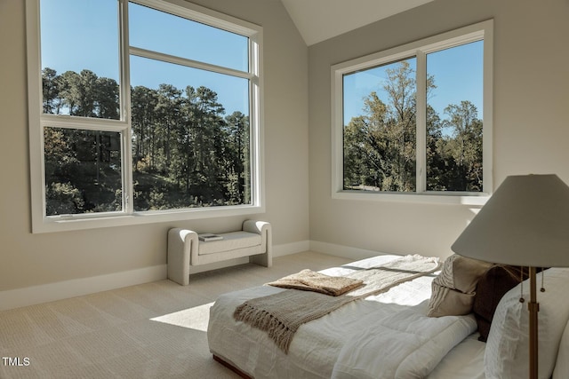 carpeted bedroom with vaulted ceiling