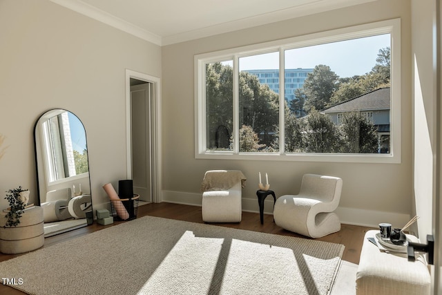 living area featuring dark hardwood / wood-style floors and crown molding